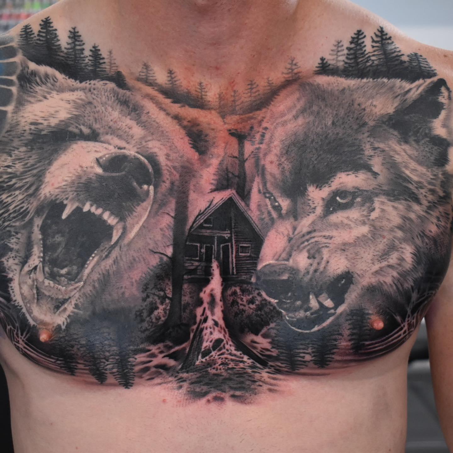 Full chest tattoo of two snarling wolves, a cabin and pine forest in black and grey by Independence Ink.